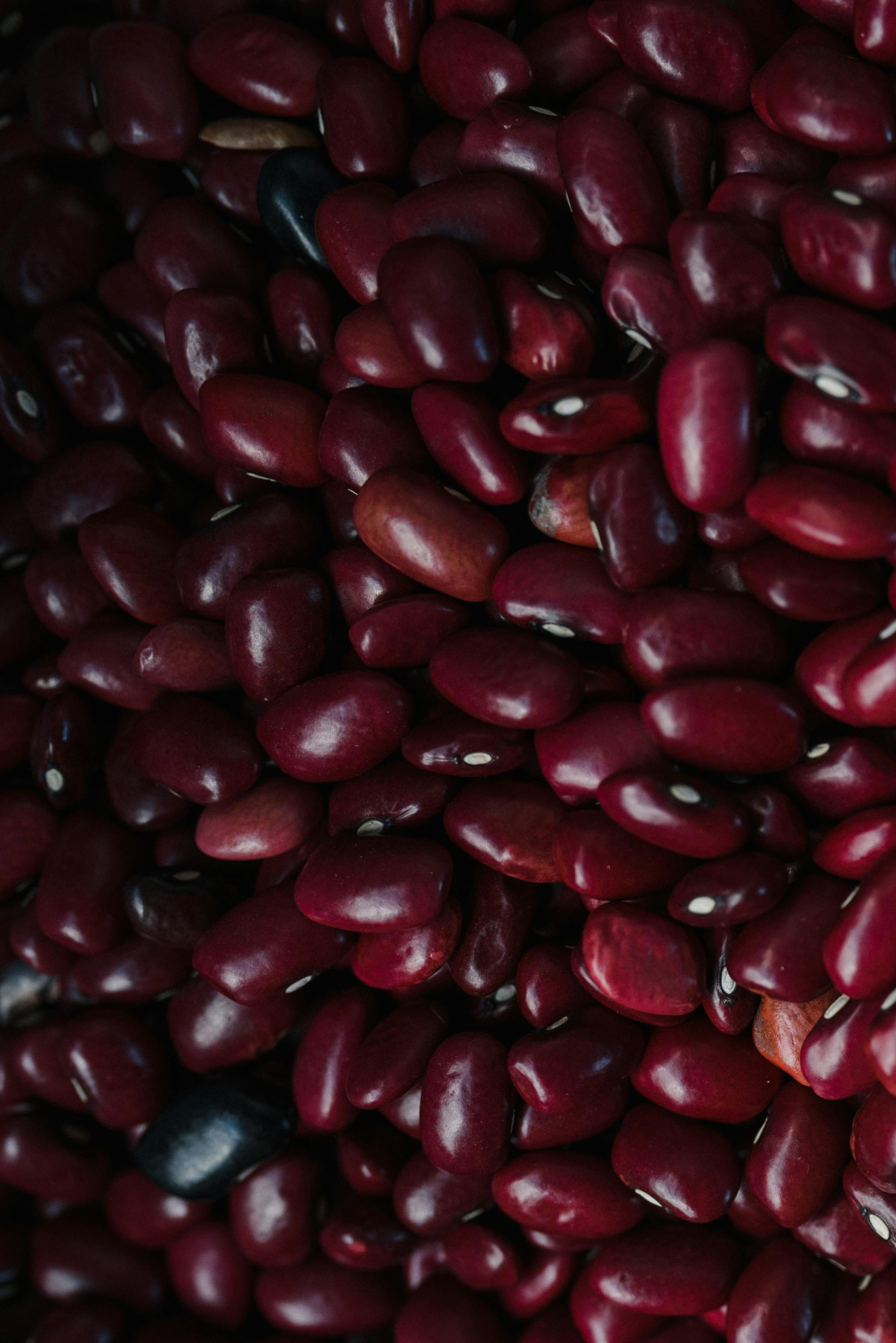 Top 5 Ways to Optimize Your Diet in 2025: Discover Effective Strategies
