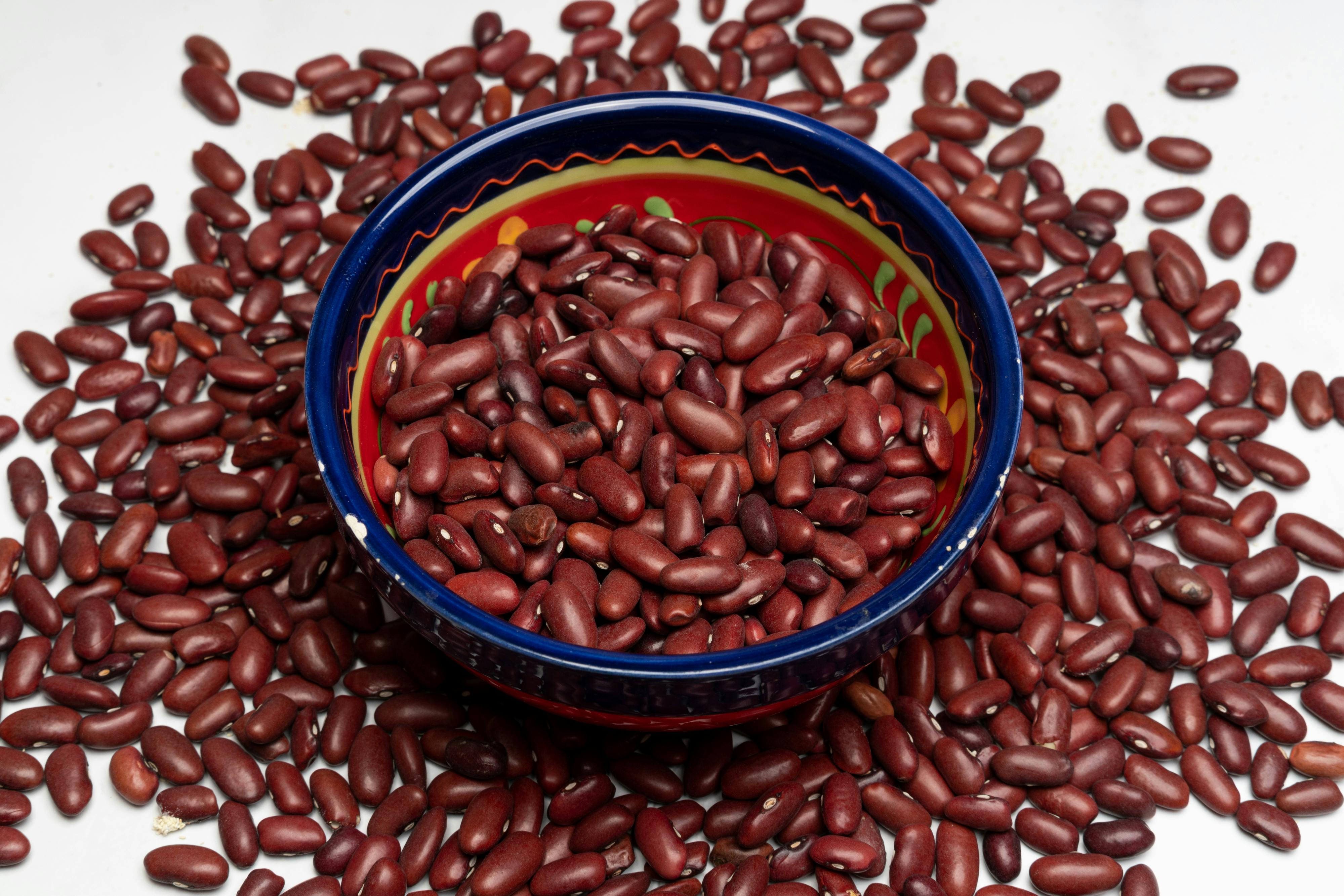 Effective Ways to Optimize King Snake Diet in 2025