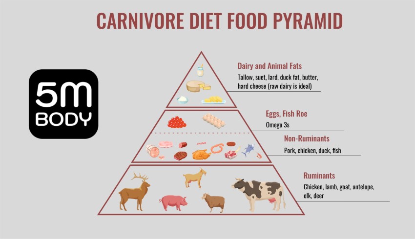 Carnivore Diet Meal Plan