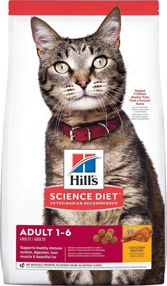 Hill Science Diet Cat Food Options